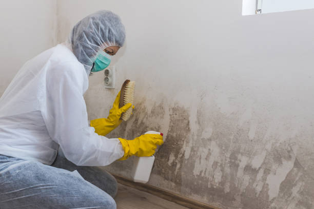 Forensic Mold Investigation in Rumson, NJ