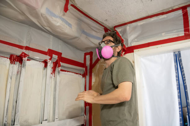 Professional Mold Removal in Rumson, NJ